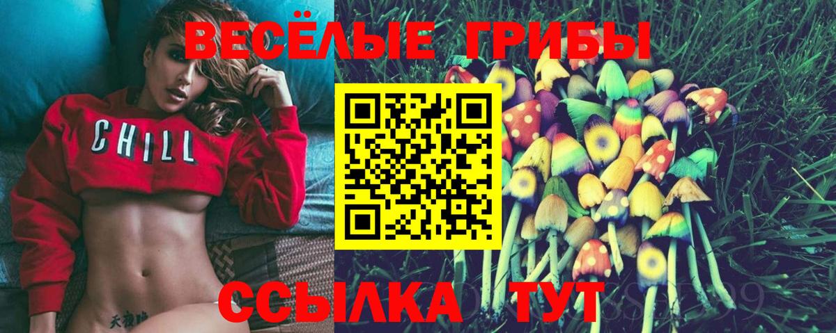Похвистнево  Псилоцибиновые грибы Cubensis  Псилоцибиновые грибы Psilocybe  Вход с VPN 