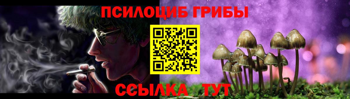 Галлюциногенные грибы Psilocybine cubensis Похвистнево